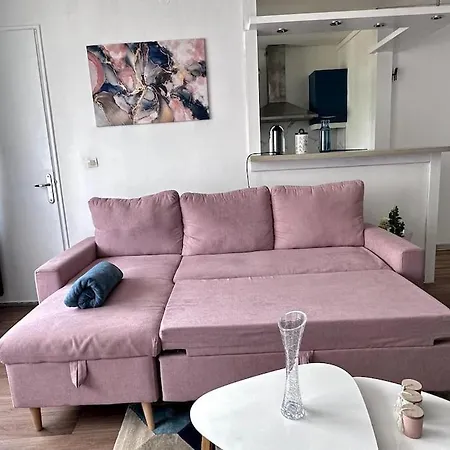 Bel Appartement, Et Salon A Centre * Metz