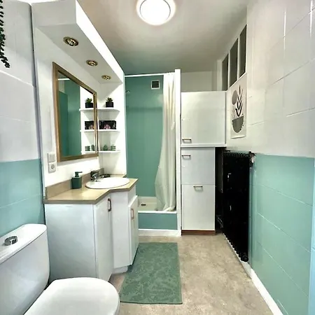 Bel Appartement, Et Salon A Centre * Metz