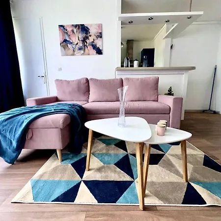 Bel Appartement, Et Salon A Centre Apartment Metz