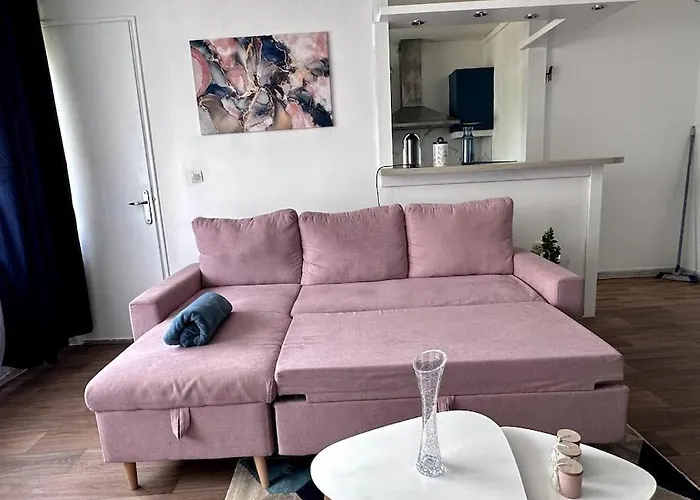 Bel Appartement, Et Salon A Centre * Metz