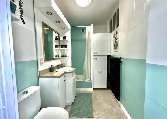 Bel Appartement, Et Salon A Centre * Metz